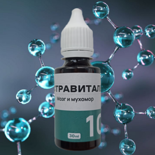 Астравиталь №10 - мозг и мухомор